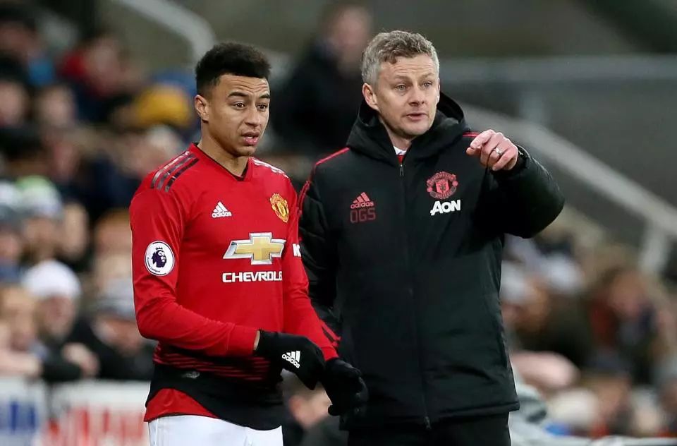 队友意图的 队友意图的